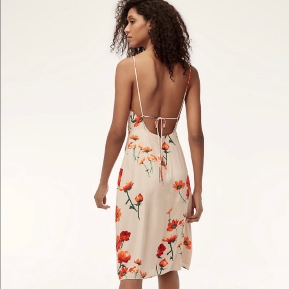 Aritzia Wilfred Dress